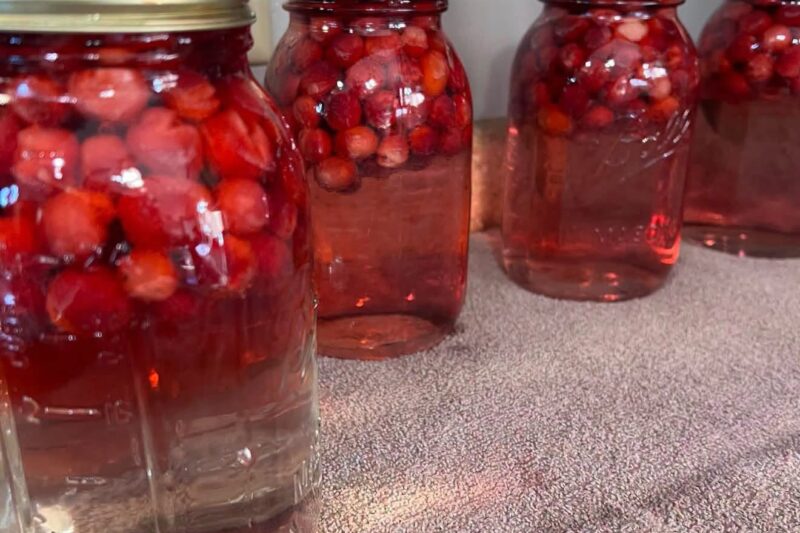 HOMEMADE CRANBERRY JUICE