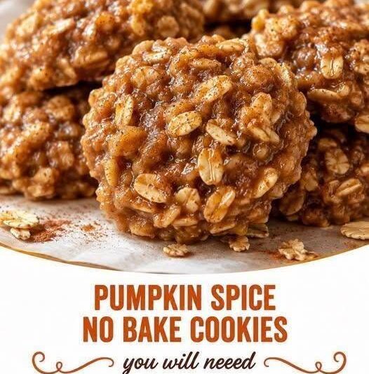 Healthy Pumpkin Spice Protein No-Bake Cookies